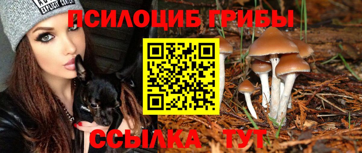 Псилоцибиновые грибы мицелий  Галлюциногенные грибы мухоморы  Выкса  Вход с VPN 