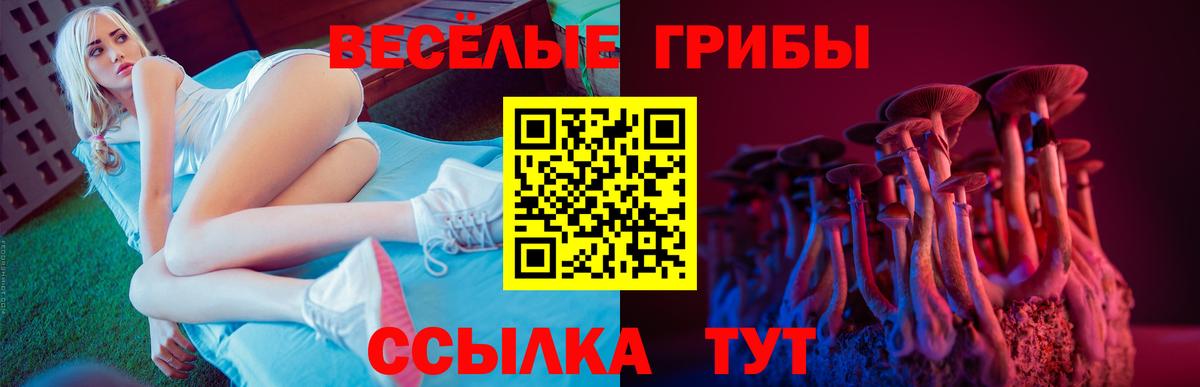 Галлюциногенные грибы MAGIC MUSHROOMS Выкса